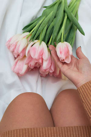 Bouquet of beautiful pink tulips on the bed. Woman holds one flower with her hand. View from above