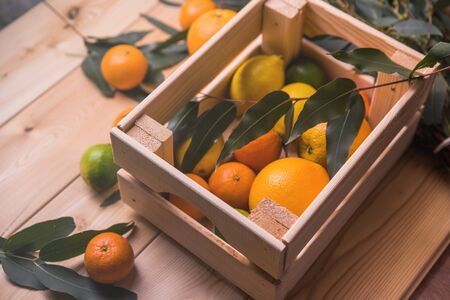 box full of citrusの写真素材