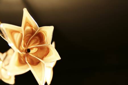 Glass flowers under lightの写真素材