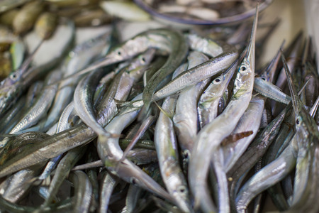 Fresh needle fishes in a local province market place of Philippinesの写真素材