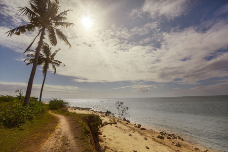 Coconut palm trees in back light at a footpath and the seashore, a summer sunny day landscape with bathing people silhouettesの写真素材
