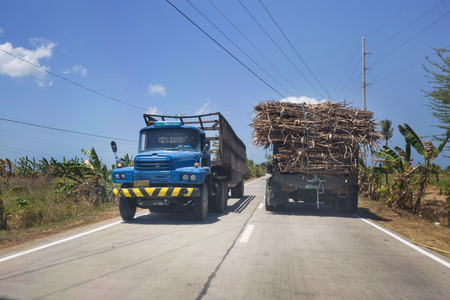 sugar cane trucks transportation in north of cebu with sugar cane fields banana plants and palmtrees on a countryside road a philippine rural sceneの写真素材
