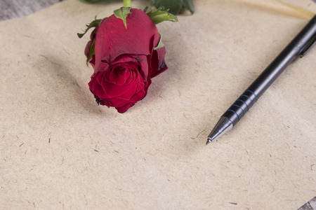 Red Rose on Old Paper.Love Letter, close up photoの写真素材