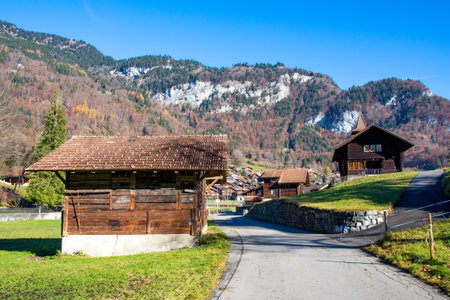 Brienzwiler village and it's beautiful typical Swiss housesのeditorial素材