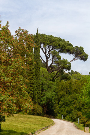 landscaped park Vorontsov Palace in Alupka Crimea Russiaのeditorial素材