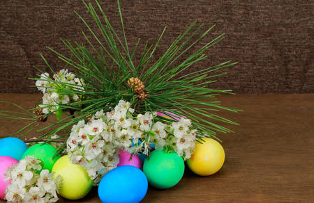 Easter eggs on a flowering  colored eggs spring flowers