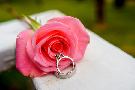 beautiful close-up rose and wedding rings with water drops rain ring roseの写真素材