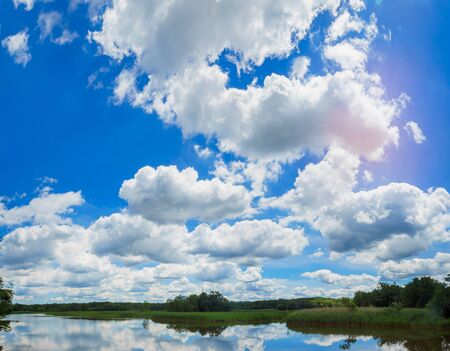 Green trees by the lake on a sunny day, with clouds on the sky