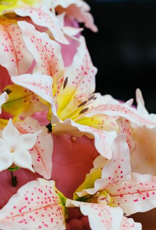 Pink Wedding Cake with Lily flower topperの写真素材