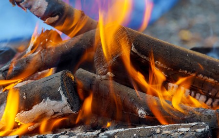 wood fire heat Bonfire close-up view close-up, fire, coal
