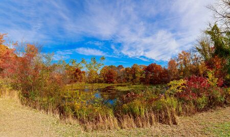 Autumn landscape. Autumn landscape with colorful forest. Colorful autumn landscape. Autumn colorful foliage over lake with beautiful woods in red and yellow color. Autumn forest reflected in water.の写真素材
