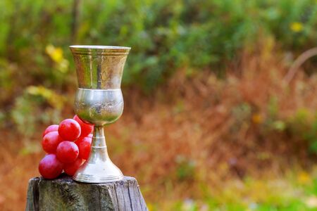 Glass of wine and grapes Jewish holidays