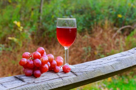 Red wine glass and bunch of grapes on wooden table against vineyard in summerの写真素材