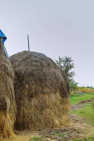 house, haystack in the field, in a carpathian village, Ukraineの写真素材
