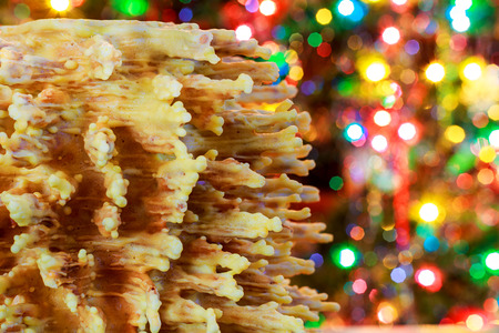 akotis new year tree new year and merry christmas backgroundの写真素材