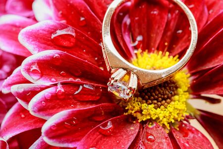 Tinted pink and softened - diamond wedding rings rings pink dahlias love Valentine's Day