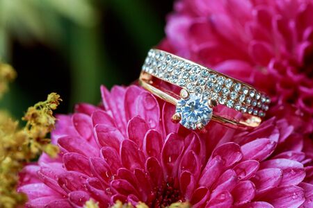 Tinted pink and softened - diamond wedding rings rings pink dahlias love Valentine's Dayの写真素材