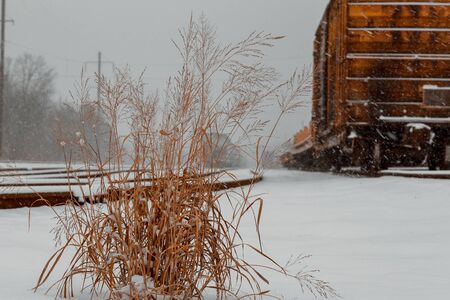 Cargo railroad industry in winter. Railway carriage transport still storage. Train freight. Freight train on the branch railway terminal. Rail transportation in winter.の写真素材