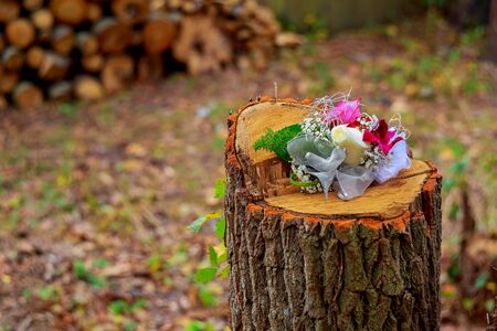 Roses flowers and petals background. holiday, mother, petals, roses spring valentineの写真素材