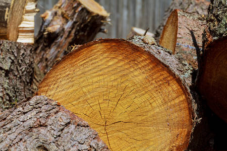 Wood texture grunge background wood frame textureの写真素材