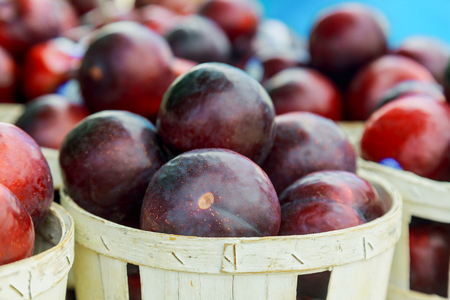 Purple plums for sale farmer's market selling plumsの写真素材