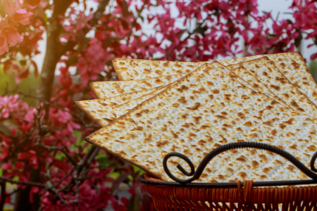 Still-life with matzoh jewish passover bread