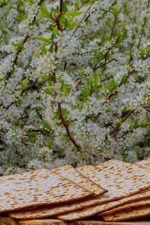 Pesach matzo passover with wine and matzoh jewish passover breadの写真素材