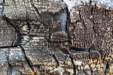 The scorched wooden background.