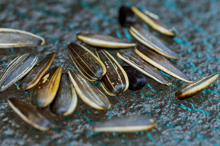 Sunflower seeds white sunflower seeds on the tableの写真素材