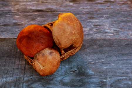 Variety of uncooked wild forest mushrooms in a basket on a wooden old board. Top view.の写真素材