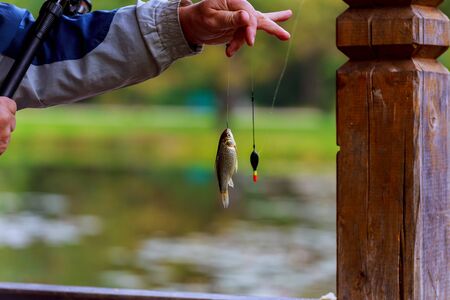fishing rod lake fisherman men summer lure sunset water outdoor Fisherman catches fish