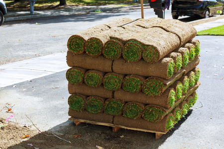Stacks Grass turf in rolls ready to be used for gardening or landscaping of sod rolls for new lawnの写真素材