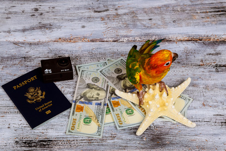 Video camera and parrot money with passport and ticket for vacations on sea star wood backgroundの写真素材
