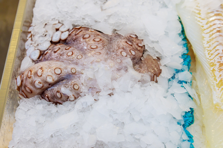 Fresh octopuses prepared to sell at the market Raw seafood market concept. Closeup view.の写真素材