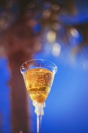 Creative picture with champagne bubbles, glittering in the sunlight.の写真素材