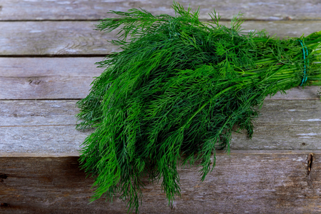 Dill bunch on wooden table background. Fresh dill on wooden plank background. Organic dill closeup on rustic wooden table, vegetarian food background. Bunch of raw dill wooden board backgroundの写真素材