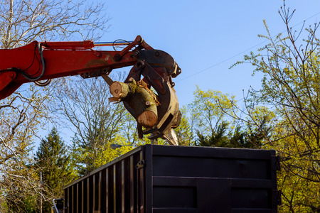 Remote manipulator collecting trees near the road shredder for sawn woodの写真素材