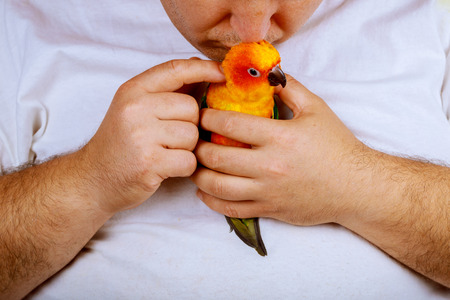 Man playing with his holding colorful parrotの写真素材