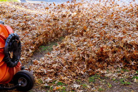 Sunny day, colorful foliage blows the air flow man in work clothes blows off yellow and red fallen...