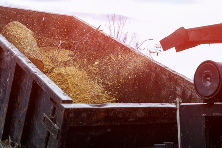 Wood chipper machine of loading truck with wood chips