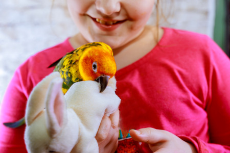 Wavy parrot next to a little girl. Kids playing yellow green parrotの写真素材