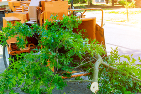 Trunks grinding used machine to become chip for reducing wood into smaller wood chips
