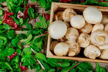 Healthy salad with champignons with vegan salad with raw mushrooms.