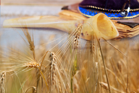 Shavuot jewish holiday torah and shofar, kippa wheat field background.の写真素材