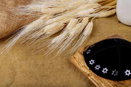 Symbols of jewish holiday Shavuot torah and shofar, wheat field background.の写真素材