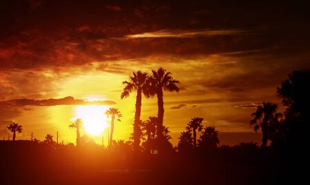 Silhouette palm trees on sunset golfers paradise during a tropical sunsetの写真素材