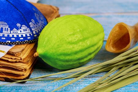 Jewish ritual festival of Sukkot in the jewish religious symbol Etrog, lulav, hadas arava kippah and...