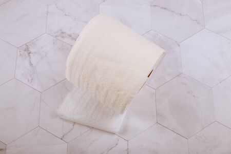 Toilet of soft paper roll on white tiles in bathroomの写真素材