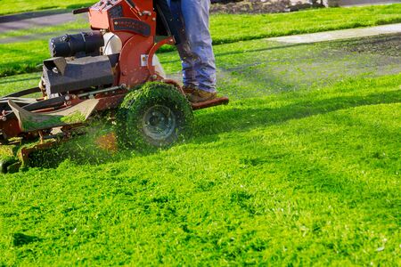Man cutting grass in his yard cut spring grass with lawn mower