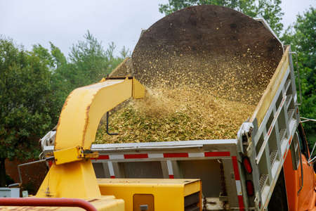 Wood chipper blowing tree branches cut a portable machine to the back of a truck after an unexpected...